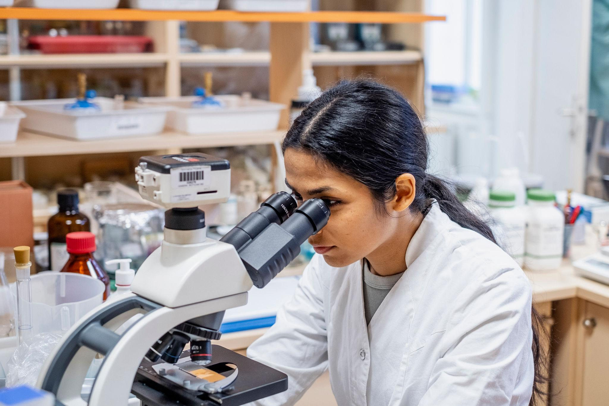 Researcher looking through a microscope in a laboratory